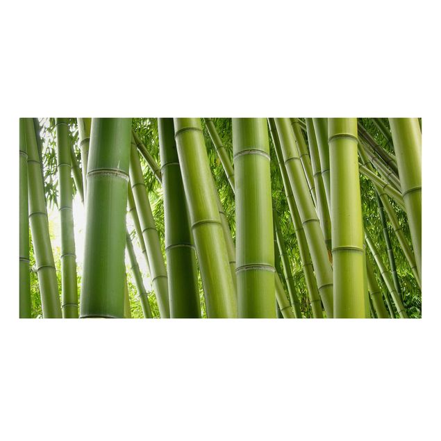 Leinwandbild - Bamboo Trees - Quer 2:1