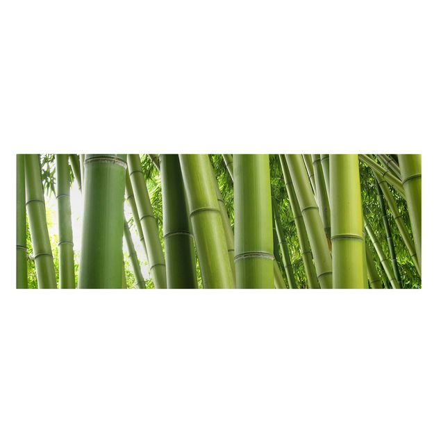 Leinwandbild - Bamboo Trees - Panorama Quer