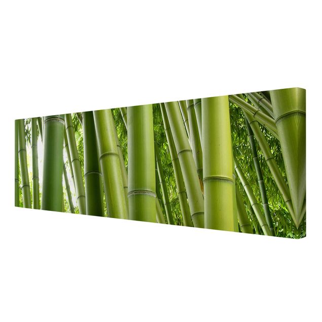Leinwandbild - Bamboo Trees - Panorama Quer