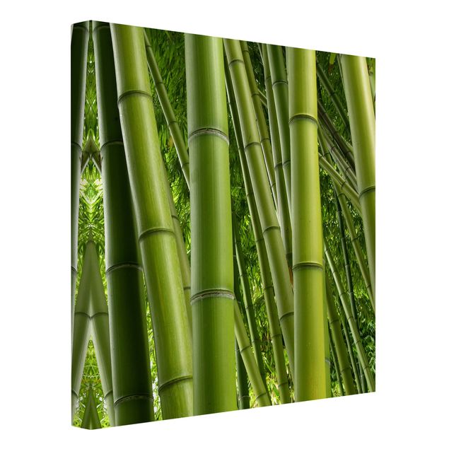 Leinwandbild - Bamboo Trees - Quadrat 1:1