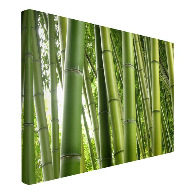 Leinwandbild - Bamboo Trees - Quer 3:2