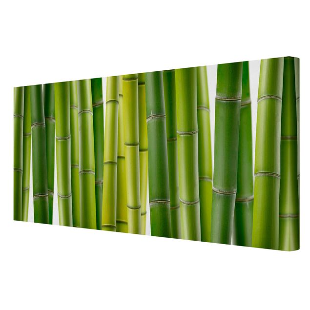 Leinwandbild - Bambuspflanzen - Quer 2:1