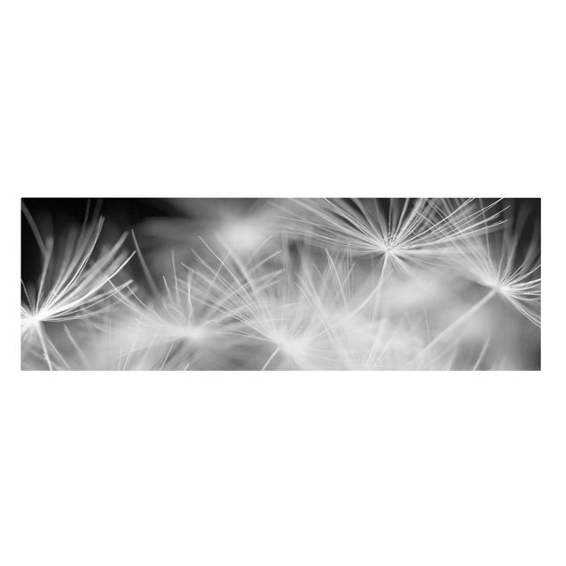Leinwandbild Schwarz-Weiß - Bewegte Pusteblumen Nahaufnahme auf schwarzen Hintergrund - Hoch 2:3