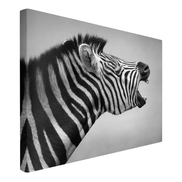 Leinwandbild Schwarz-Weiß - Brüllendes Zebra II - Quer 3:2
