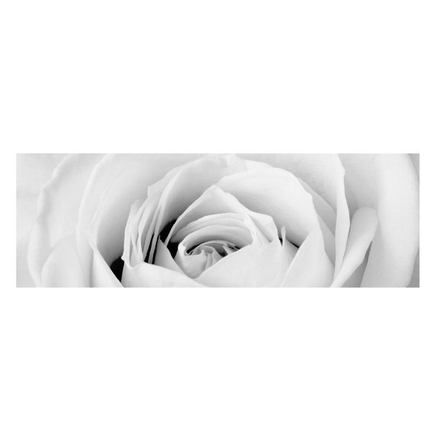 Leinwandbild Schwarz-Weiß - Close Up Rose - Panoramabild Quer