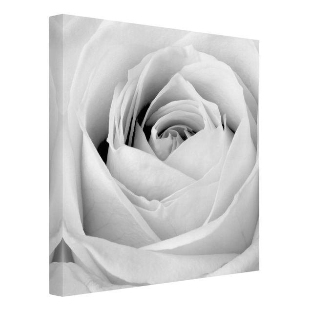 Leinwandbild Schwarz-Weiß - Close Up Rose - Quadrat 1:1