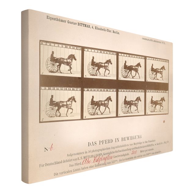 Leinwandbild - Eadweard Muybridge - Das Pferd in Bewegung - Quer 3:2