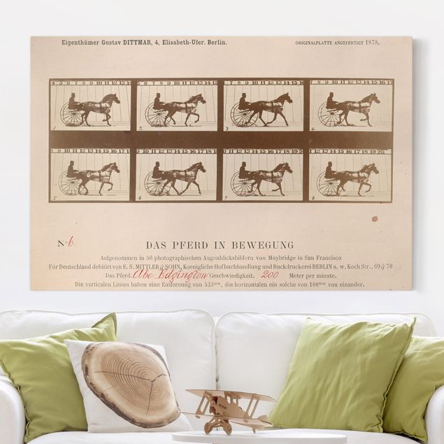 Leinwandbild - Eadweard Muybridge - Das Pferd in Bewegung - Quer 3:2