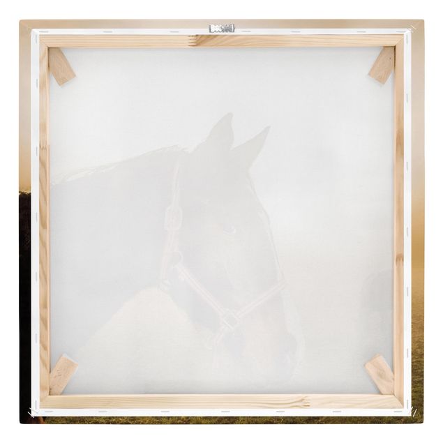 Leinwandbild - Early Horse - Quadrat 1:1