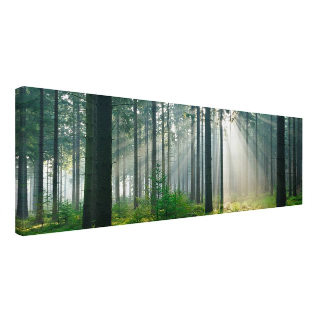 Leinwandbild - Enlightened Forest - Panorama Quer