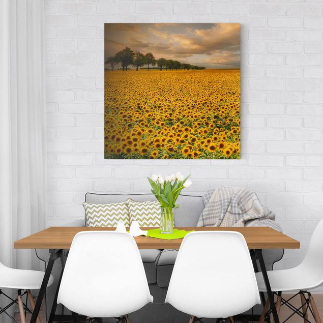 Leinwandbild - Feld mit Sonnenblumen - Quadrat 1:1