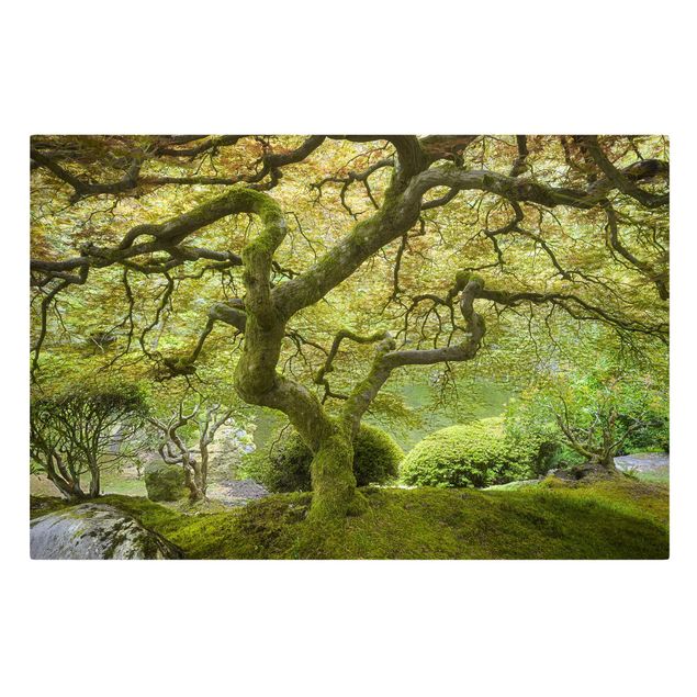 Leinwandbild - Grüner Japanischer Garten - Quer 3:2