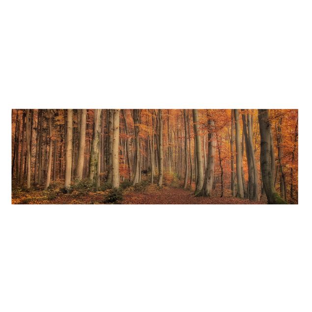Leinwandbild - Herbstspaziergang - Panorama Quer