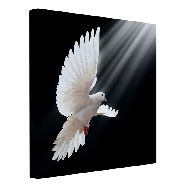 Leinwandbild - Holy Dove - Quadrat 1:1