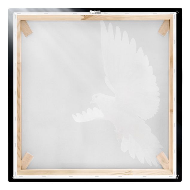 Leinwandbild - Holy Dove - Quadrat 1:1