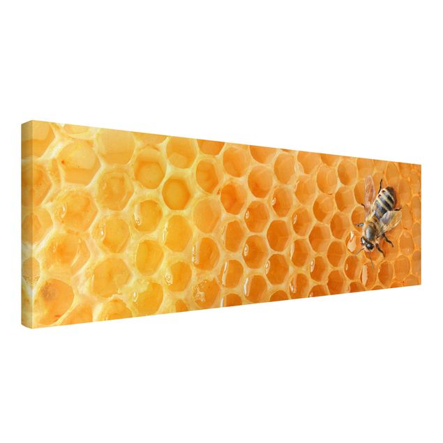 Leinwandbild - Honey Bee - Panorama Quer