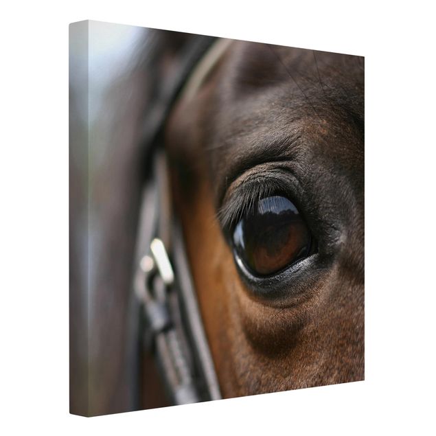 Leinwandbild - Horse Eye No.3 - Quadrat 1:1