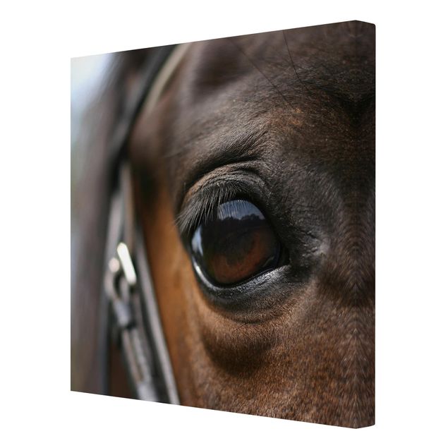 Leinwandbild - Horse Eye No.3 - Quadrat 1:1