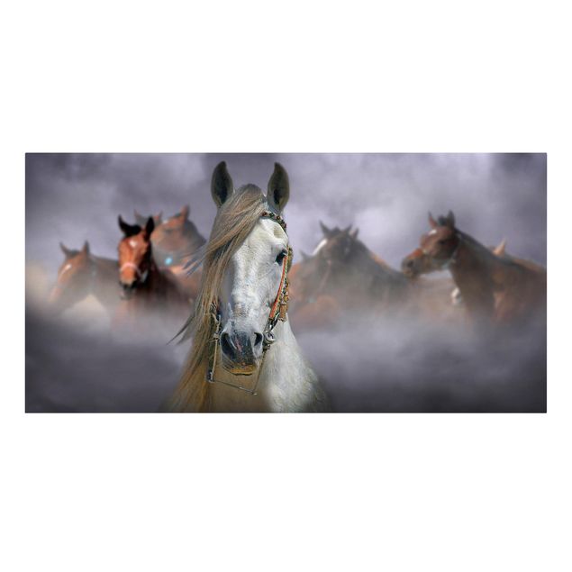 Leinwandbild - Horses in the Dust - Quer 2:1