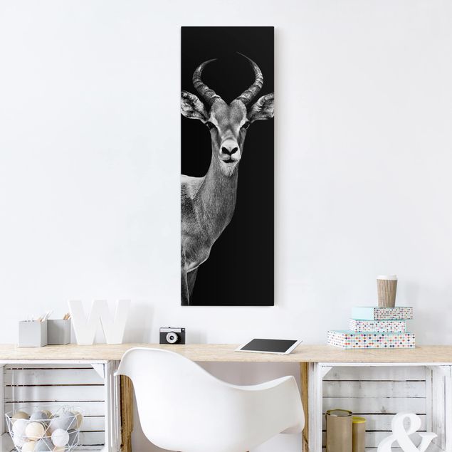 Leinwandbild - Impala Antilope schwarz-weiß - Panoramabild Hoch