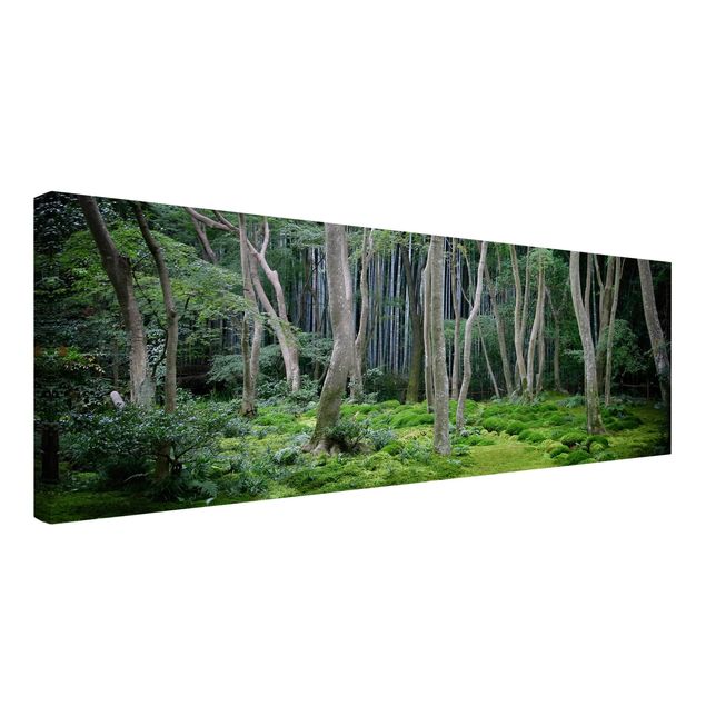 Leinwandbild - Japanischer Wald - Panorama Quer