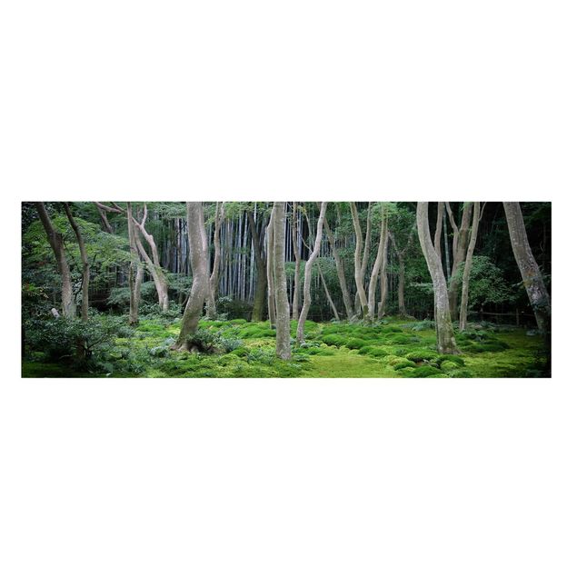Leinwandbild - Japanischer Wald - Panorama Quer