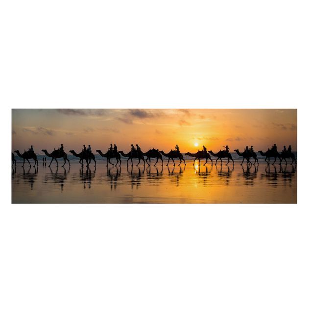 Leinwandbild - Kamele im Sonnenuntergang - Panorama Quer