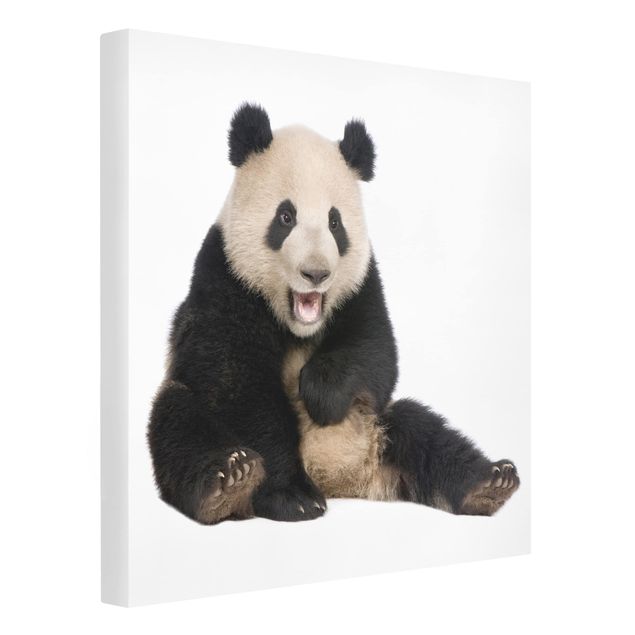 Leinwandbild - Lachender Panda - Quadrat 1:1
