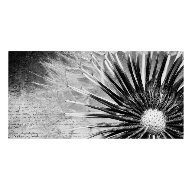 Leinwandbild Schwarz-Weiß - Pusteblume Schwarz & Weiß - Quer 2:1