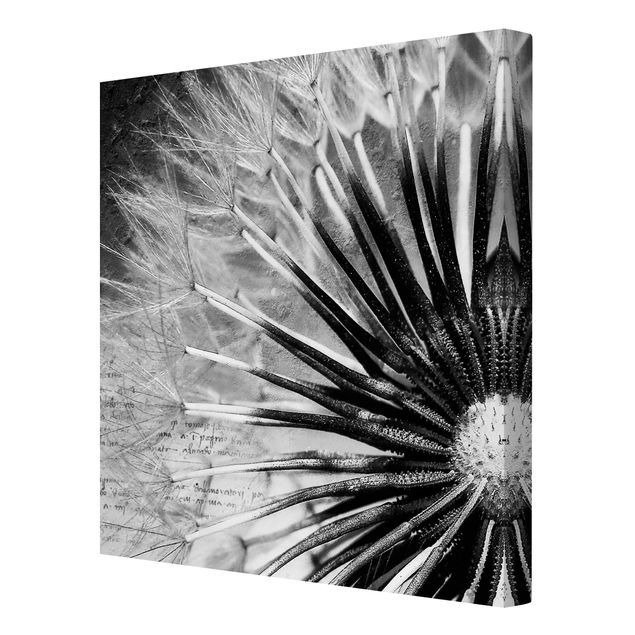 Leinwandbild - Pusteblume Schwarz & Weiß - Quadrat 1:1