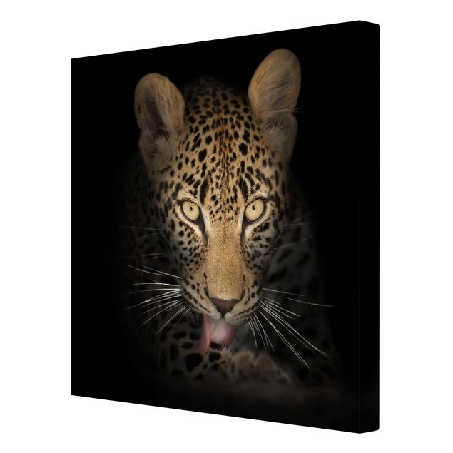 Leinwandbild - Resting Leopard - Quadrat 1:1