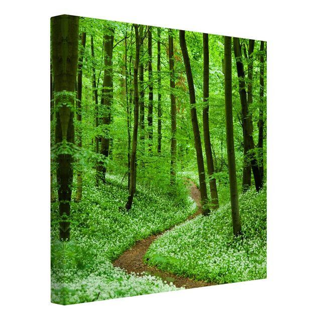 Leinwandbild - Romantischer Waldweg - Quadrat 1:1