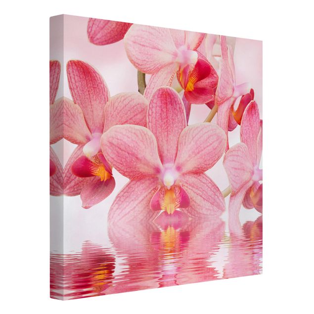 Leinwandbild - Rosa Orchideen auf Wasser - Quadrat 1:1