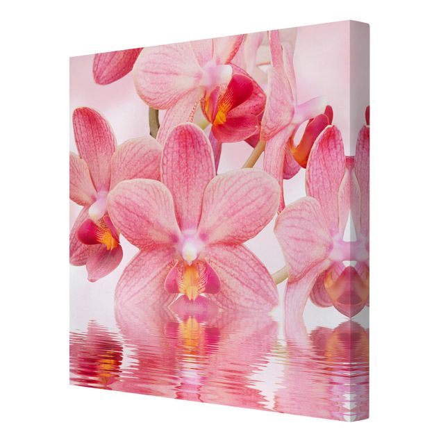 Leinwandbild - Rosa Orchideen auf Wasser - Quadrat 1:1