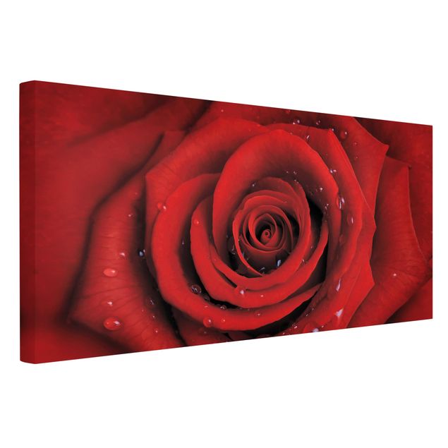 Leinwandbild - Rote Rose mit Wassertropfen - Quer 2:1