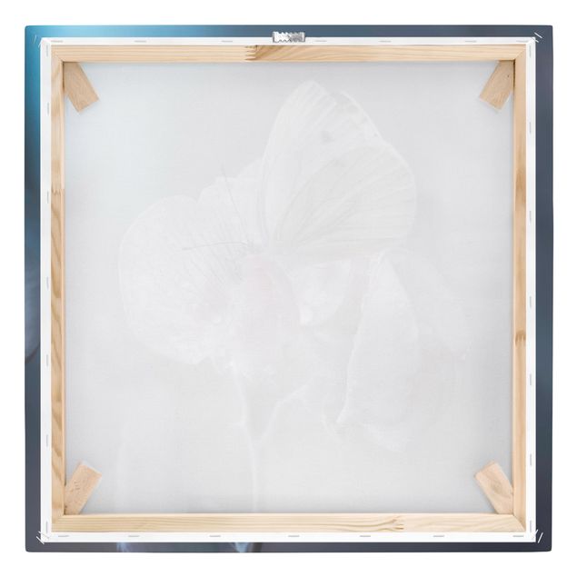 Leinwandbild - Schmetterling im Regen - Quadrat 1:1