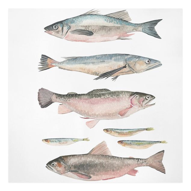 Leinwandbild - Sieben Fische in Aquarell I - Quadrat 1:1