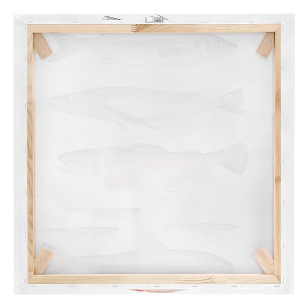 Leinwandbild - Sieben Fische in Aquarell I - Quadrat 1:1