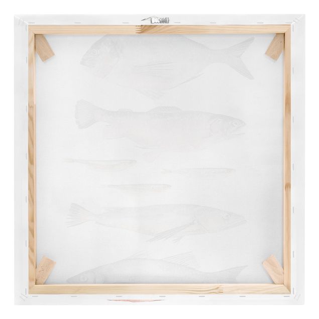 Leinwandbild - Sieben Fische in Aquarell II - Quadrat 1:1