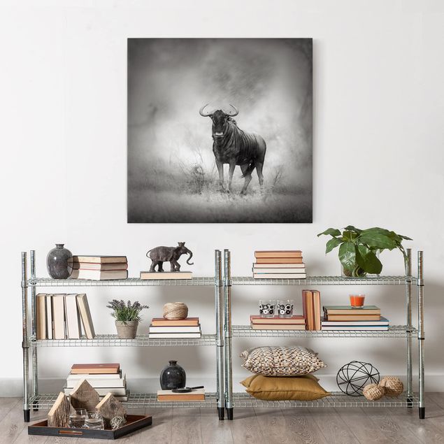 Leinwandbild Schwarz-Weiß - Staring Wildebeest - Quadrat 1:1