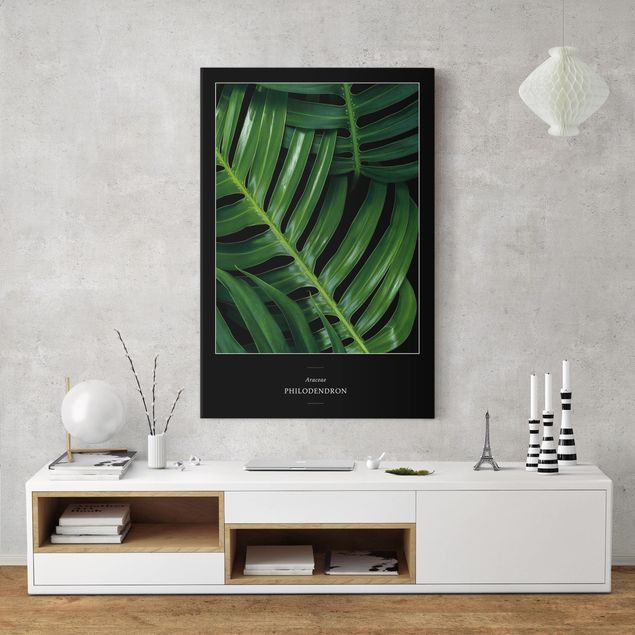 Leinwandbild - Tropische Blätter Philodendron - Hochformat 2:3