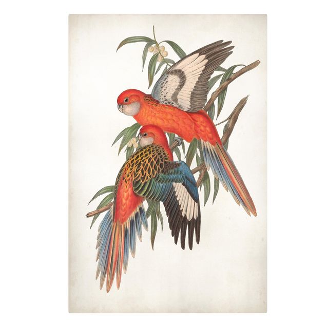 Leinwandbild - Tropische Papageien I - Hochformat 3:2