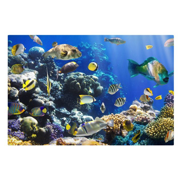 Leinwandbild - Underwater Reef - Quer 3:2