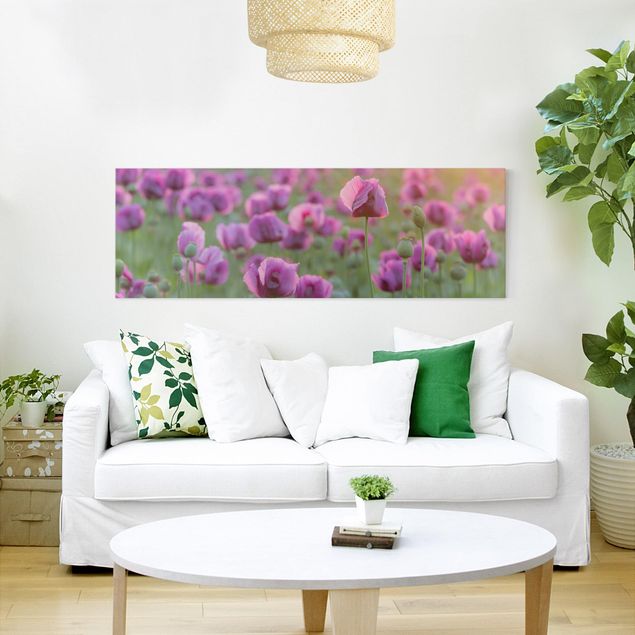 Leinwandbild - Violette Schlafmohn Blumenwiese im Frühling - Panorama Quer