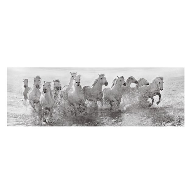 Leinwandbild - Weiße Pferde im Meer - Panorama Quer