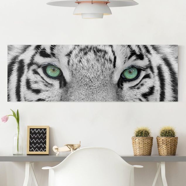 Leinwandbild Schwarz-Weiß - Weißer Tiger - Panoramabild Quer