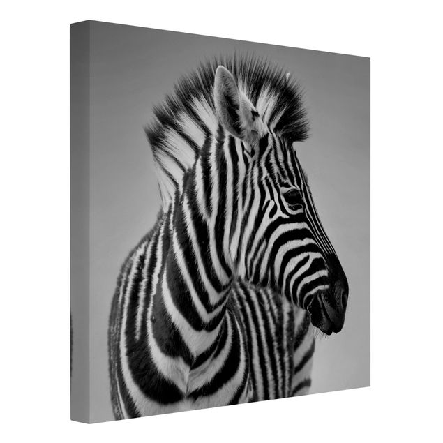 Leinwandbild Schwarz-Weiß - Zebra Baby Portrait II - Quadrat 1:1