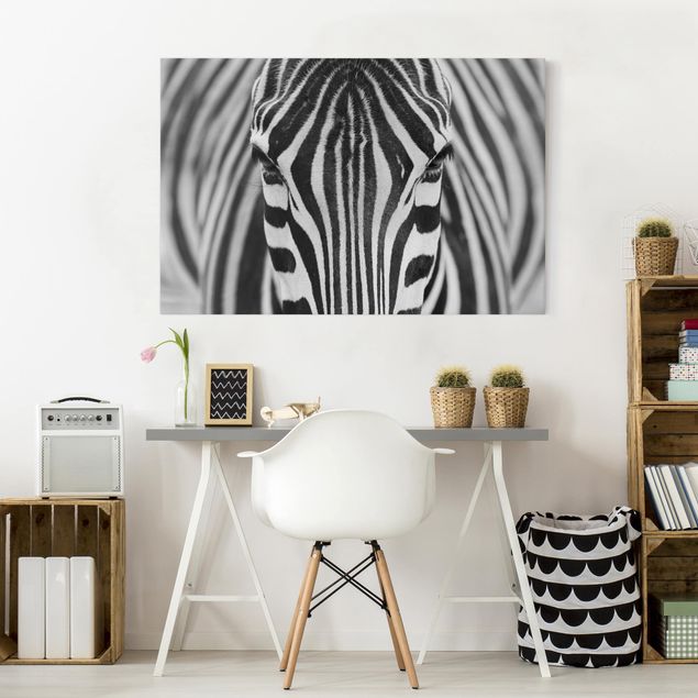 Leinwandbild - Zebra Look - Quer 3:2