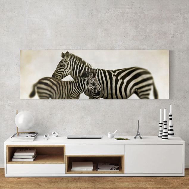 Leinwandbild Schwarz-Weiß - Zebrapaar - Panoramabild Quer