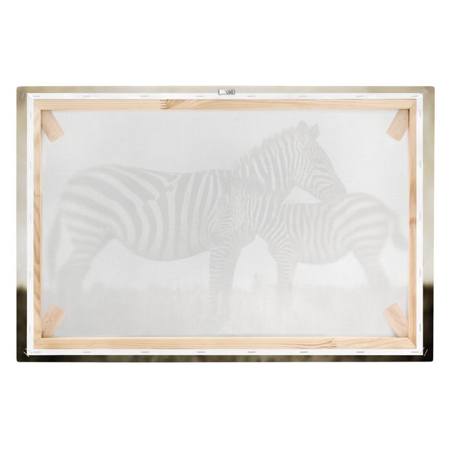 Leinwandbild Schwarz-Weiß - Zebrapaar - Quer 3:2